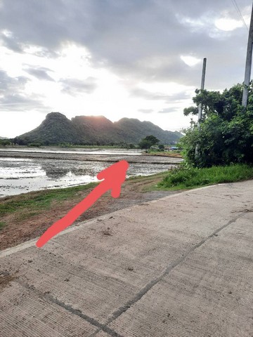 ที่ดินถูกวิวดี หายาก เหมาะสร้าง คาเฟ่ รีสอร์ต โฮมสเตย์