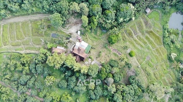 ขายบ้านวิวภูเขา อ.แม่ริม จ.เชียงใหม่