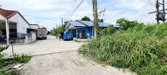 ขายขายขายด่วนมาก ที่ดิน 50 วา ม.กรีนวิลล์คันทรีโฮม ถ.ชลบุรี-บ้านบ