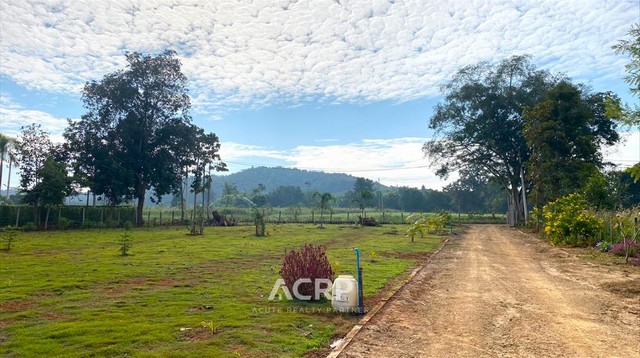 ขายที่ดินวิวดอยล้อมรอบ ต.บ้านเป้า อ.แม่แตง จ.เชียงใหม่